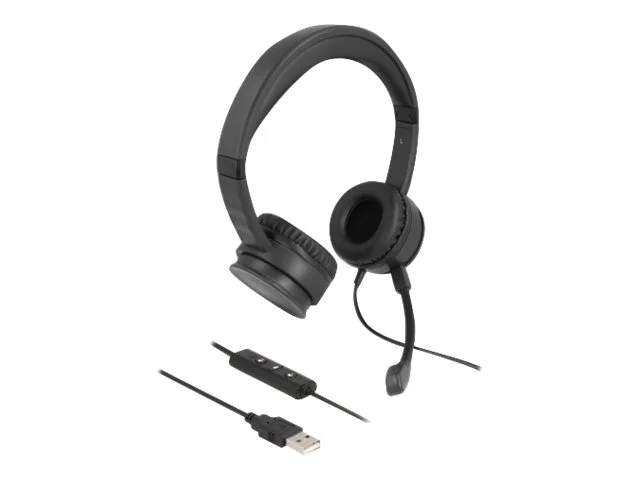 DELOCK USB Stereo Headset PC u. Notebook