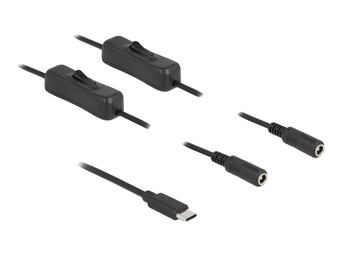 DELOCK Kabel USB Type-C zu 2 x DC 1 m