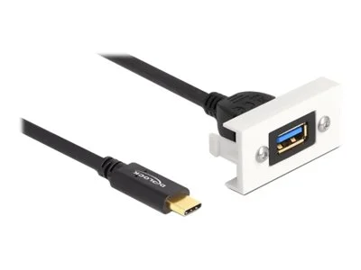 DELOCK Easy 45 Modul USB 3.2 Gen 2 USB