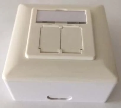 Dosen TP, AP,2-fach, CAT6, Rein/Signalweiss, waagrechter Kabeleingang, Synergy 21,