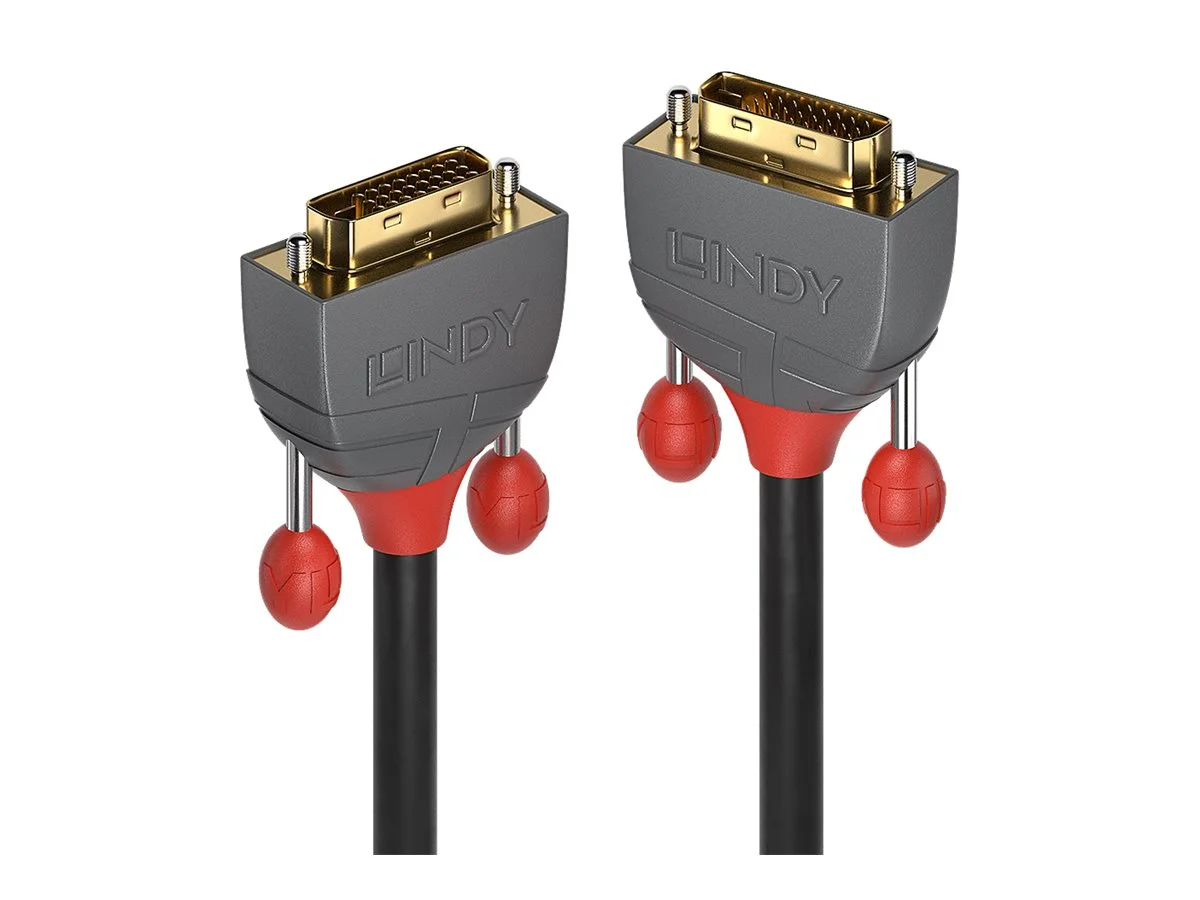 LINDY 0,5m DVI-D Dual Link Kabel