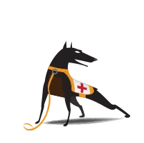 CommScope RUCKUS Associate Partner Support for unleashed 9U1-T350-WW20, 9U1-T350-WW40, 9U1-T350-WW51, 1 Yr