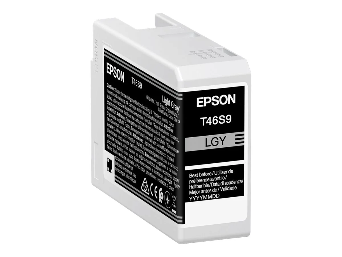 EPSON 1LB Singlepack Light Gray T46S9