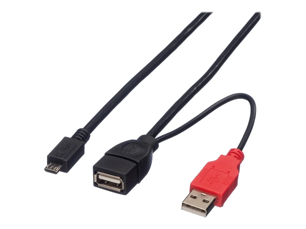 ROLINE USB 2.0 Y-Kabel 2x Typ A 1m