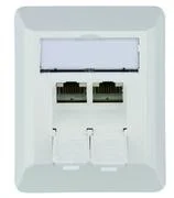 Dosen TP, AP, 2-fach, CAT6A, 500Mhz, AW, AMJ45-8/8, Telegärtn