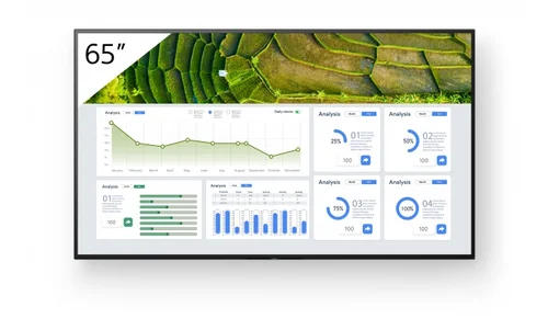 FW-65BZ30L 65INCH PRO BRAVIA LCD 440NIT