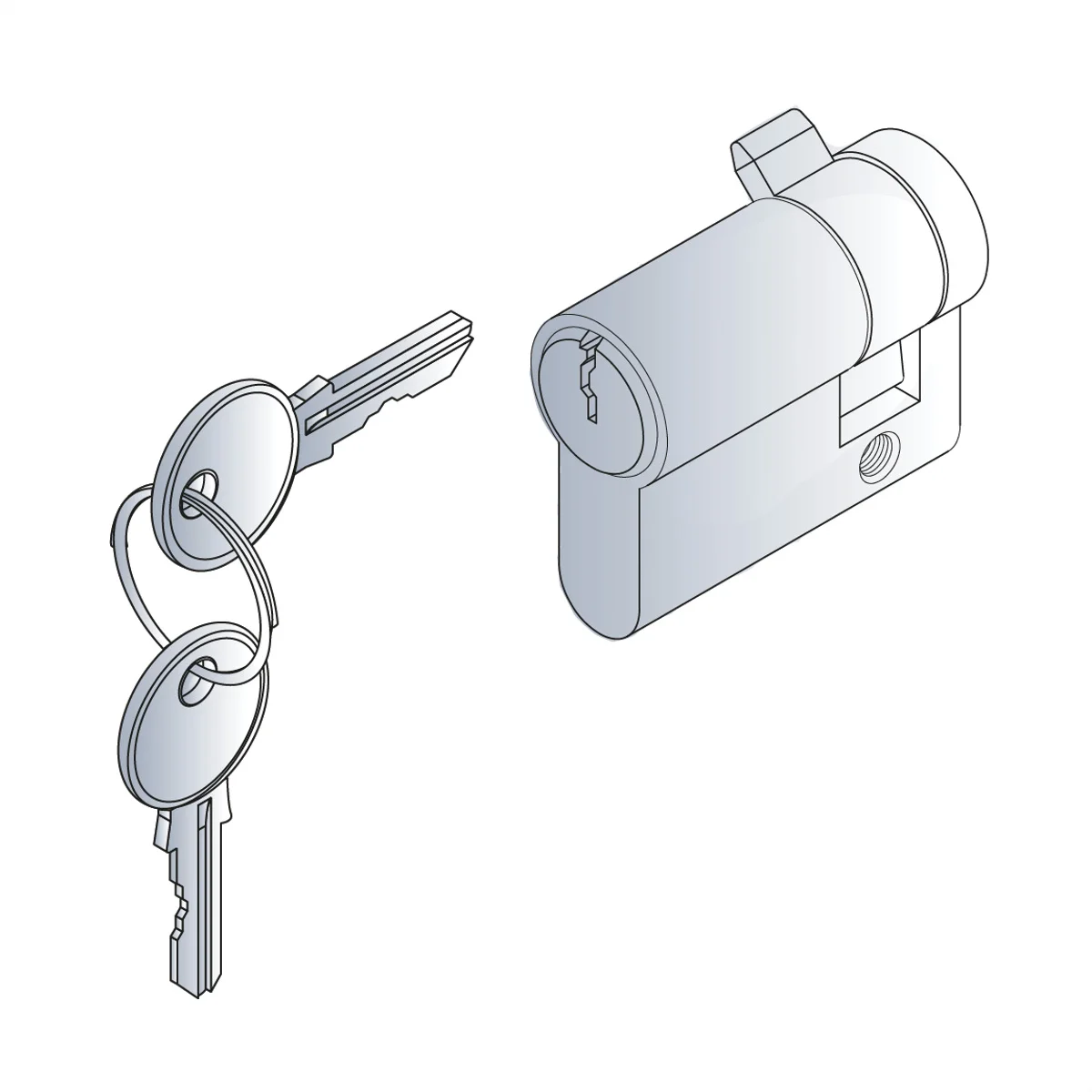 Schroff Profil Halbzylinder M.3SCHL.