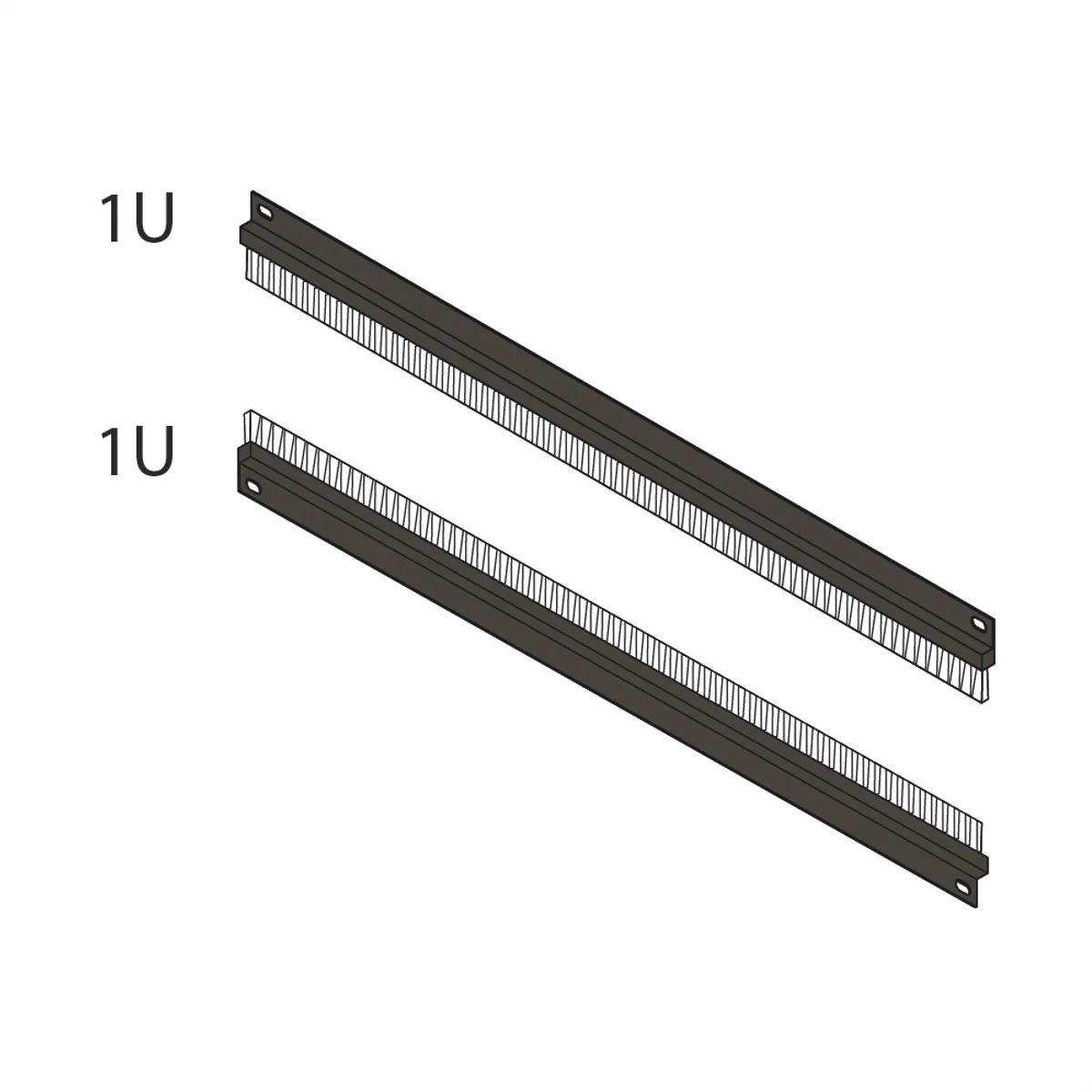Schroff BUERST.LEI.1HE KAB.EING.(2X)