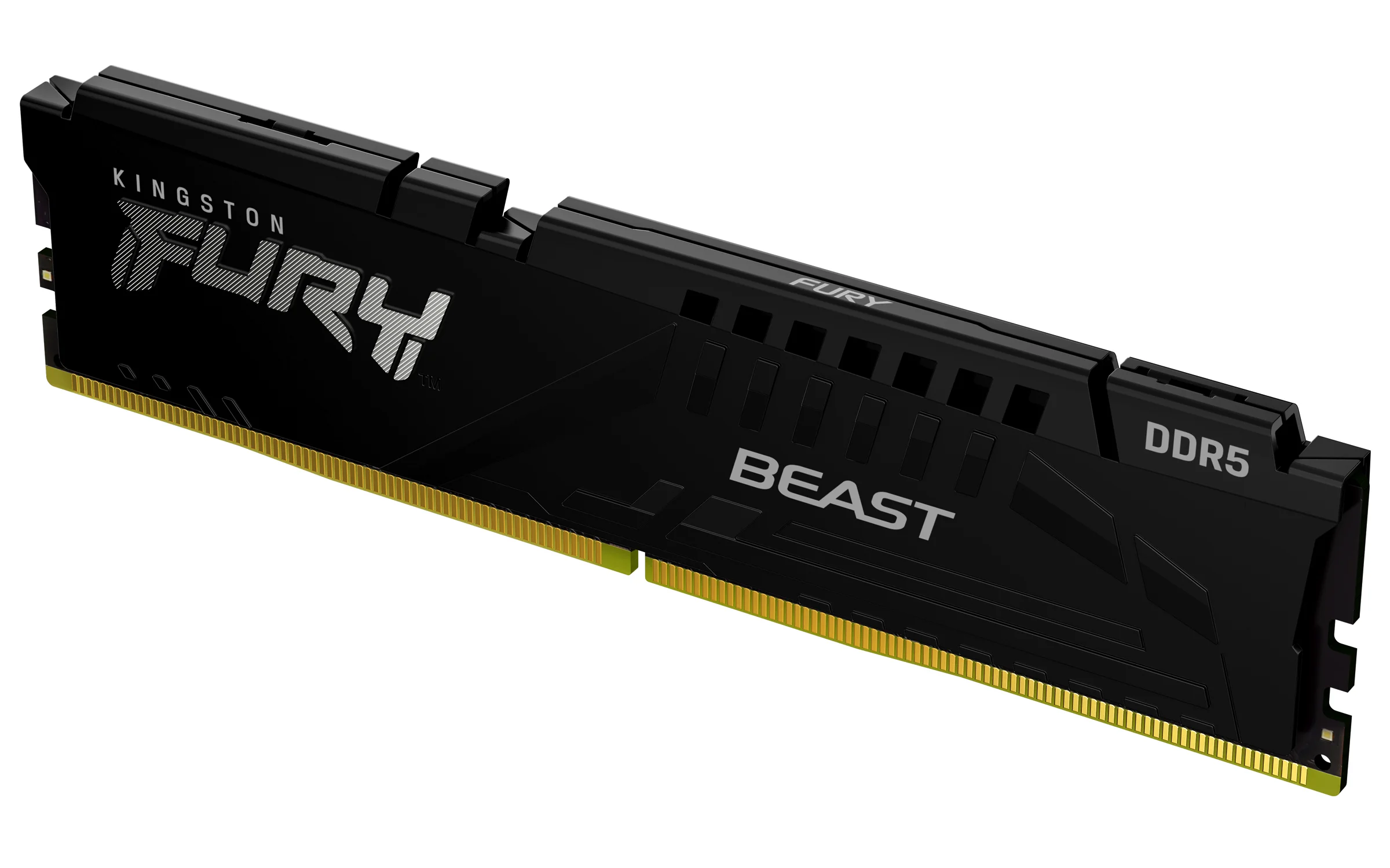 Kingston Technology FURY 8GB 5600MT/s DDR5 CL36 DIMM Beast Black EXPO