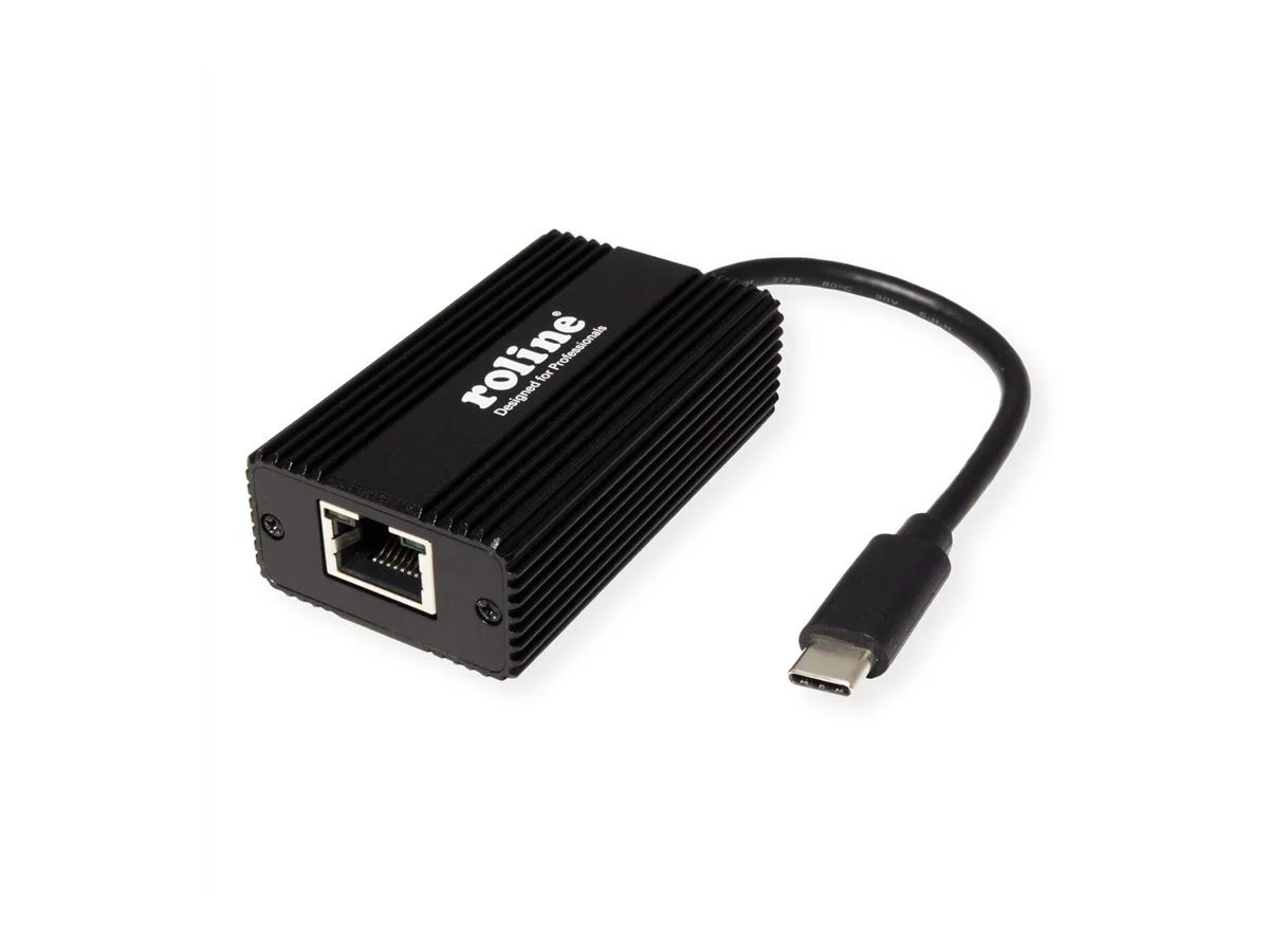 ROLINE USB 3.2 Gen 2 zu 2.5 Konverter