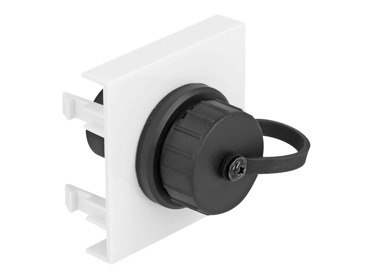 DELOCK Easy 45modul USB Typ-A Buchse