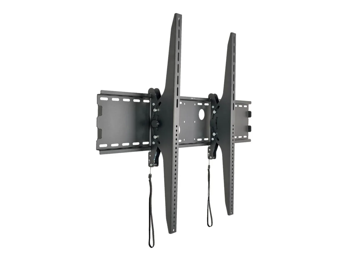 EATON TRIPPLITE Wall Mount