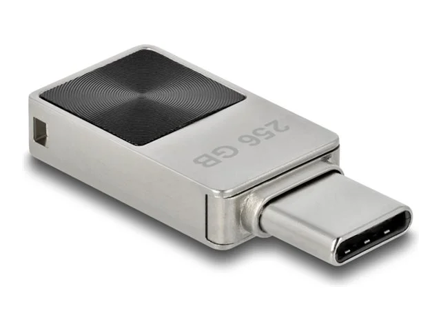 DELOCK Mini USB 5 Gbps USB-C 256GB