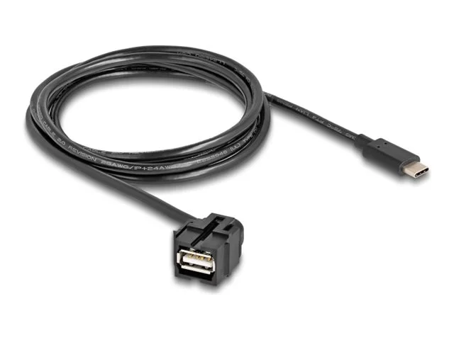 DELOCK Keystone Modul USB 2.0A zu Type-C
