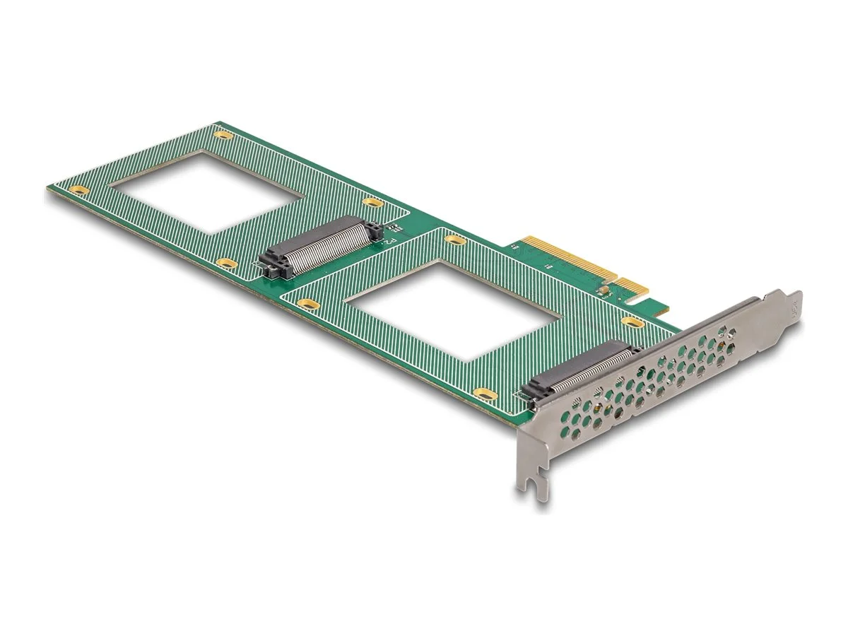 DELOCK PCI Express 4.0 x8 Karte zu 2xU.2