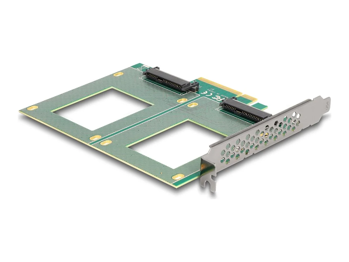 DELOCK PCI Express 4.0 x8 Karte zu 2xU.2