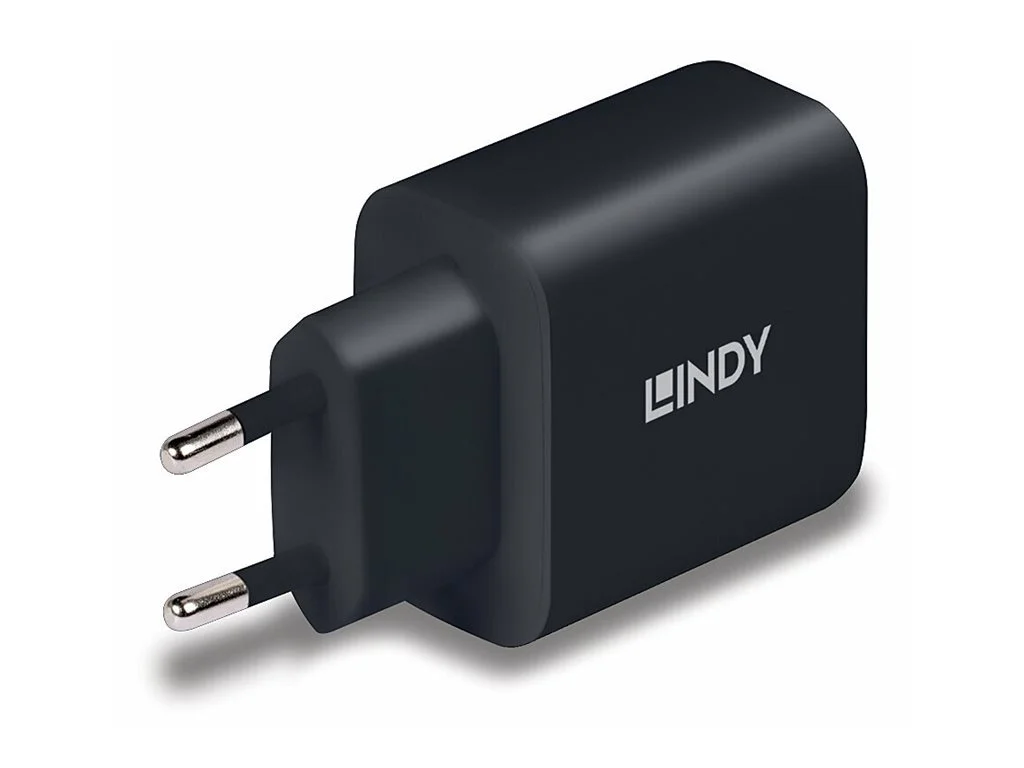 LINDY 65W USB Type C GaN Charger mit EU
