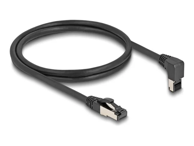DELOCK RJ45 Netzwerkkabel Cat.8.1 1m