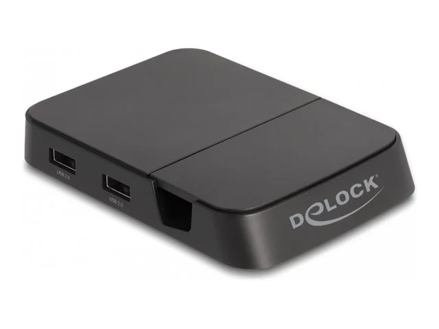 DELOCK Smartphone Dockingstation 4K