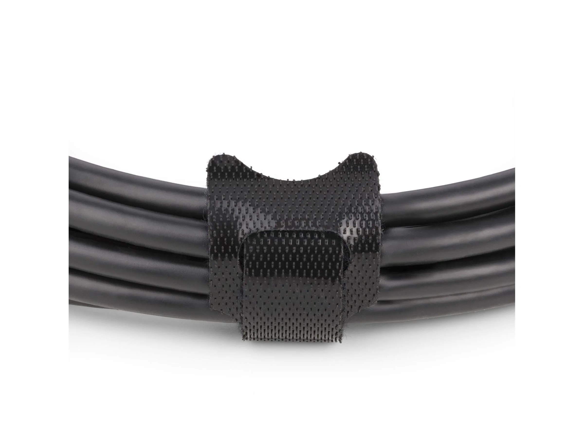 STARTECH 3m USB-C DisplayPort Kabel 8K