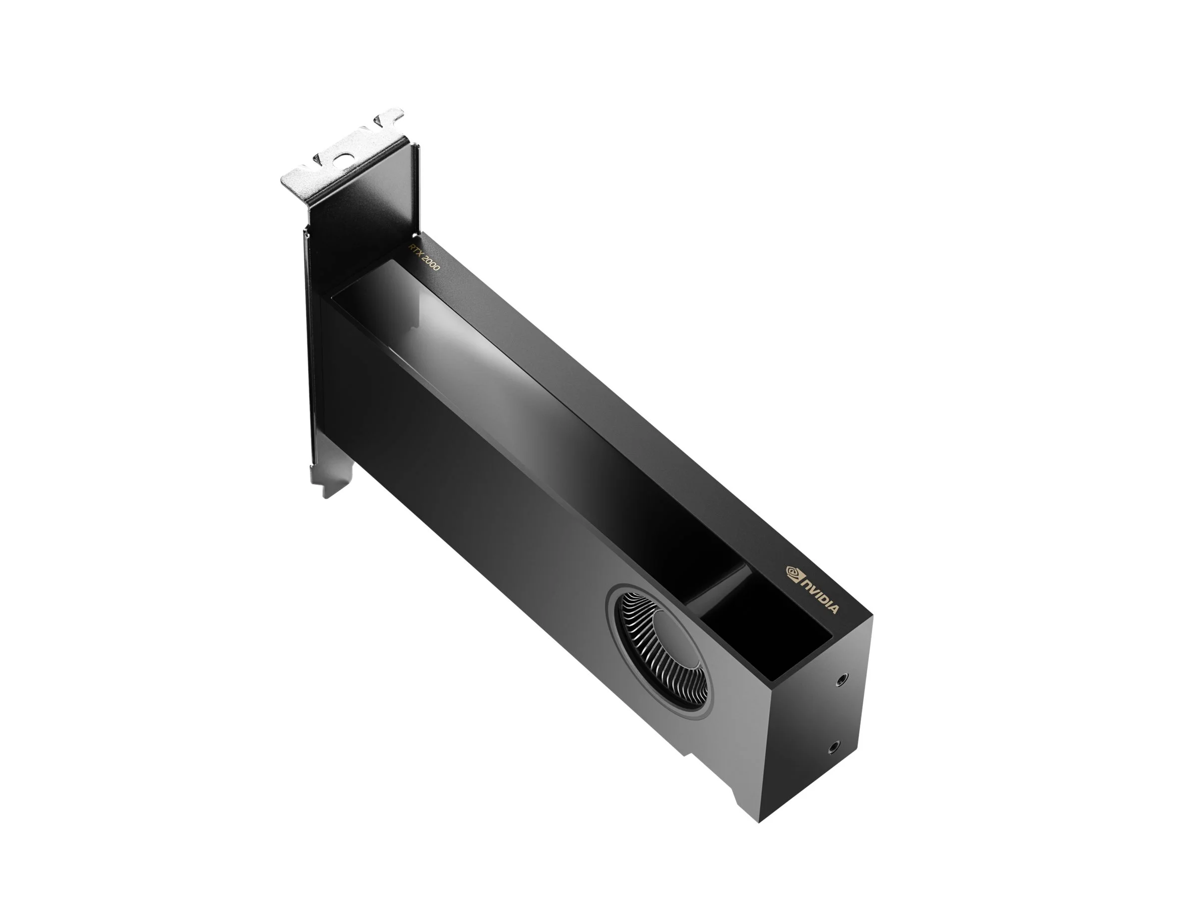 HP NVIDIA RTX 2000 Ada 16GB 4mDP Graphic