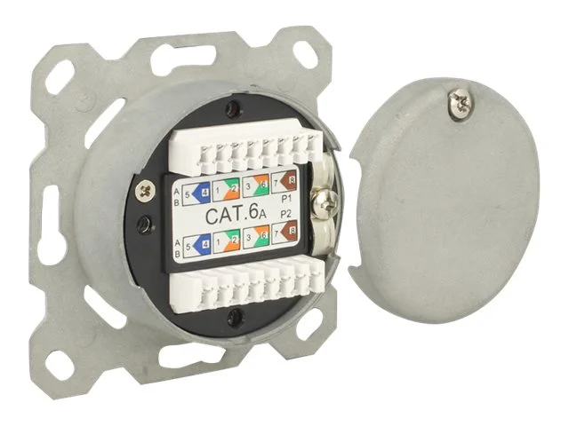 DELOCK Anschlussdose Unterputz 2 Port