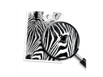 HP 924 CMYK Original Ink Cartridge 4Pack