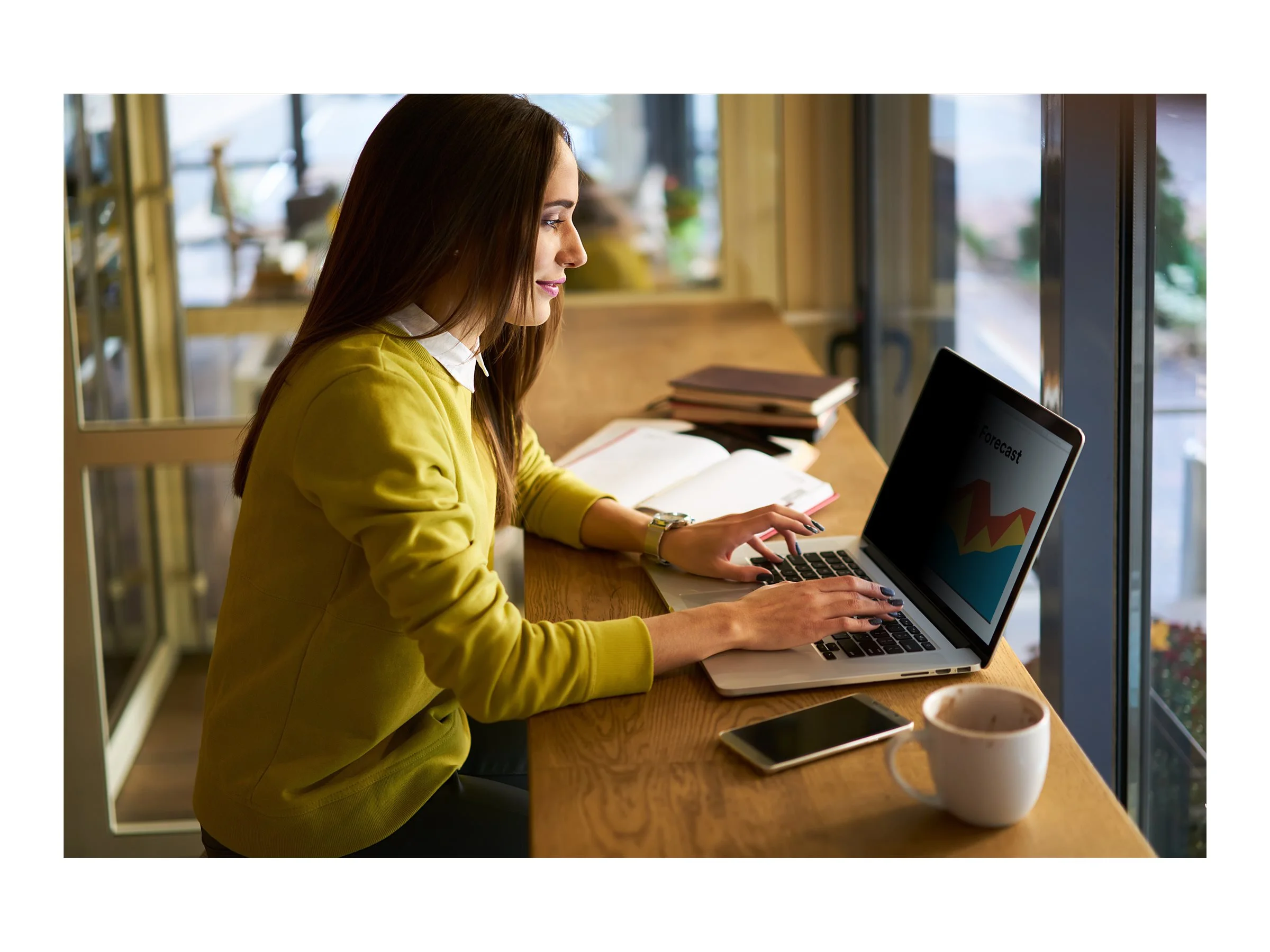 3M Touch Privacy Filter for 33,02cm NB