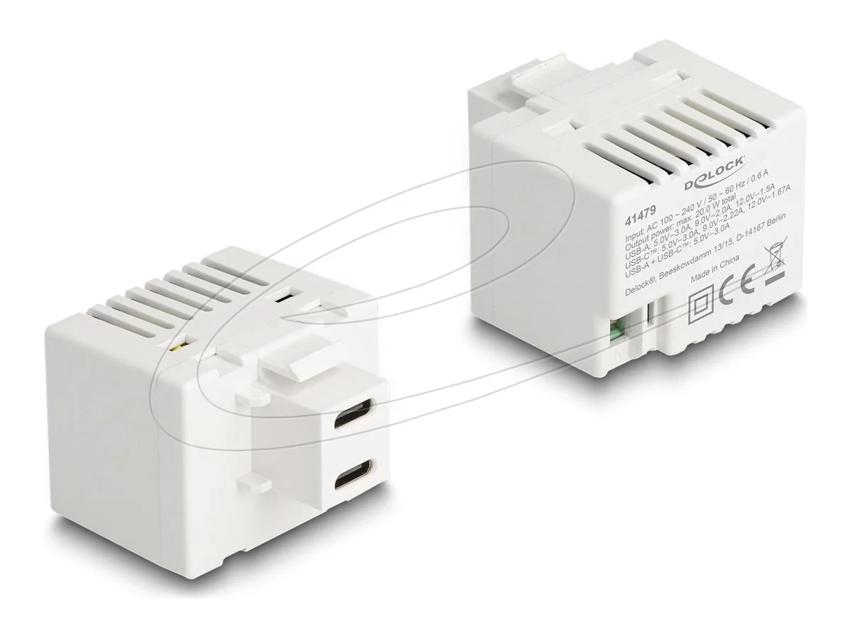 DELOCK Keystone Modul mit 2 x USB Type-C
