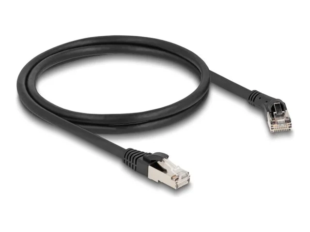 DELOCK RJ45 Netzwerkkabel Cat.8.1 1m