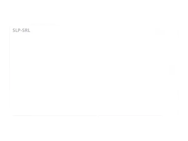 SEIKO Versandetiketten SLP-SRL 220 St. 1