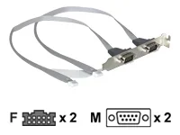 DELOCK MBz Dual ComPort Kabel 2mm Buchse