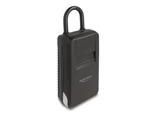 DELOCK Schlusseltresor mit Bugel zum Auf