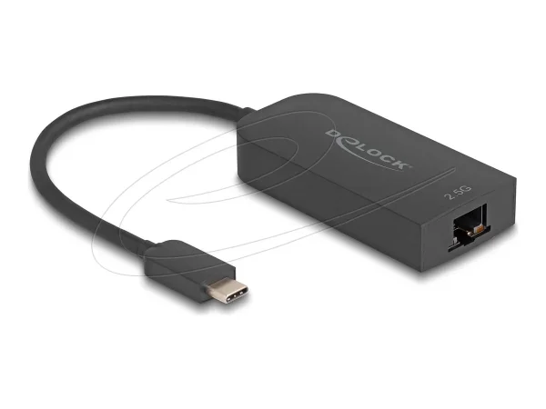DELOCK USB Type-C Adapter zu 2,5 Gigabi