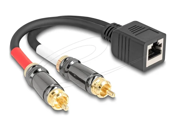 DELOCK Kabel RJ45 Bu zu 2 x Cinch 20cm