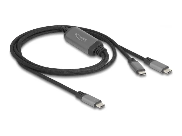 DELOCK USB-C Y-Kabel 1 x Stecker zu 2 x