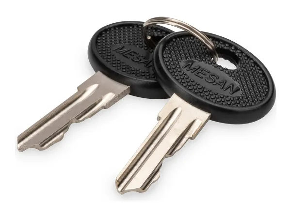 DIGITUS Key for WM SOHO PRO DN-1019 DN-D