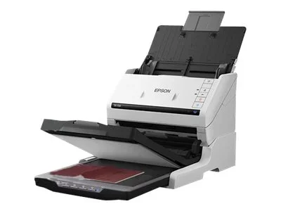 EPSON Flatbed Scanner Dock
