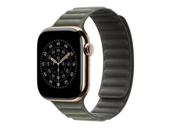 APPLE WATCH 42 SAGE GRAY MG SM