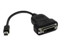STARTECH Mini DP auf DVI Adapter