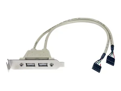 STARTECH 2 Port USB Slot Plate Adapter