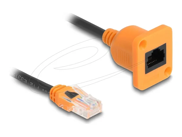 DELOCK D-Typ RJ45 Kabel Cat.5e UTP 30cm