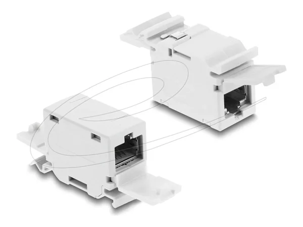 DELOCK RJ45 Kupplung Cat.6A Buchse zu Bu