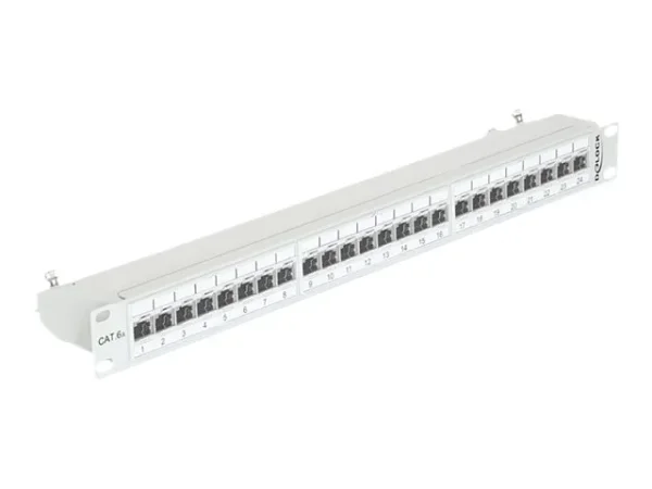 DELOCK 19 Patchpanel 24Port Cat.6A grau