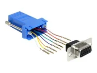 DELOCK Adapter Sub-D 9Pin Bu > RJ45 Bu.
