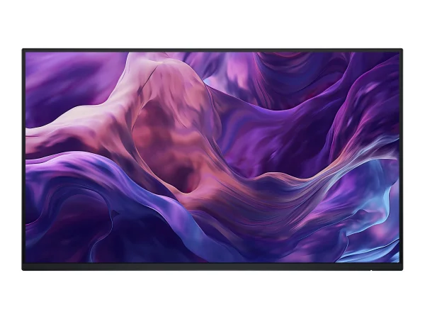 DELL 24 USB-C Hub Monitor P2425HE no std