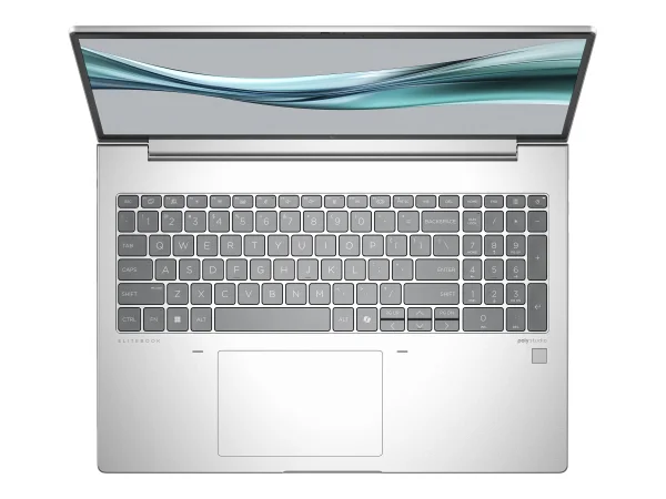 HP EliteBook 645 G11 R5 8/256GB(DE)