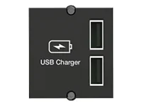 BACHMANN Custom Modul USB Doppel-Charger
