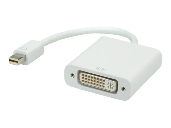ROLINE Mini DisplayPort-DVI Adapter