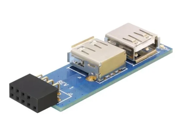 DELOCK MBz USB Ph Bu >2x USB2.0-A Bu